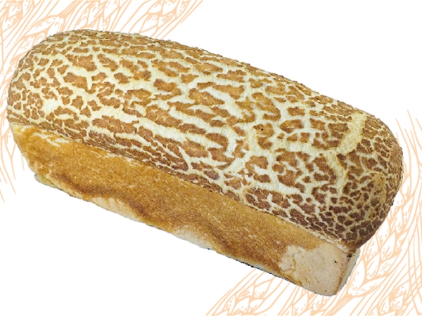 Melkbrood tijger